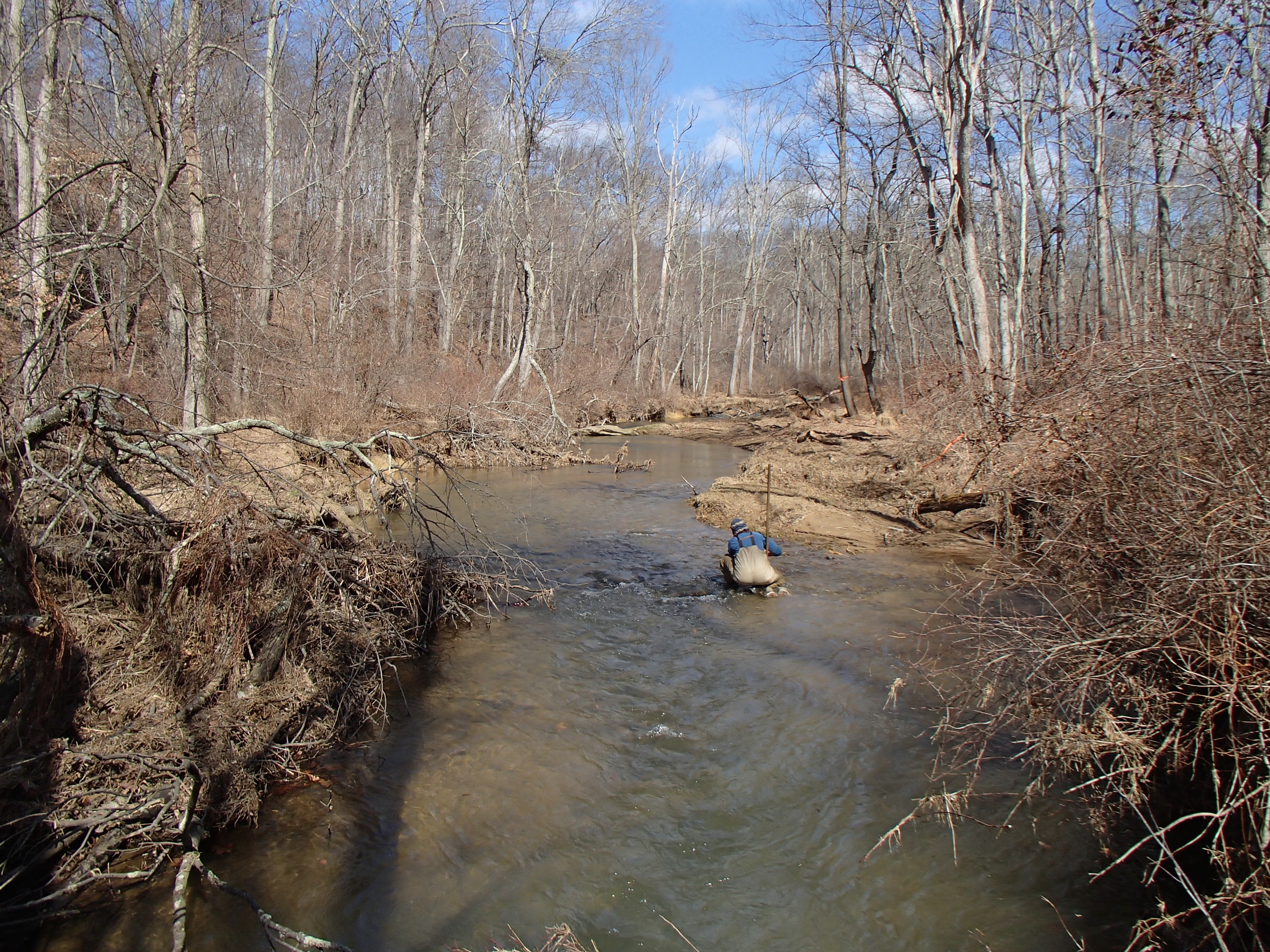 Field photo showing stream conditions at site LOCH-313-R-2016_midpoint looking upstream